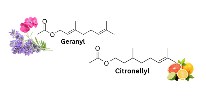 Esters and their fruity odors – Industrial&nbsp;applications